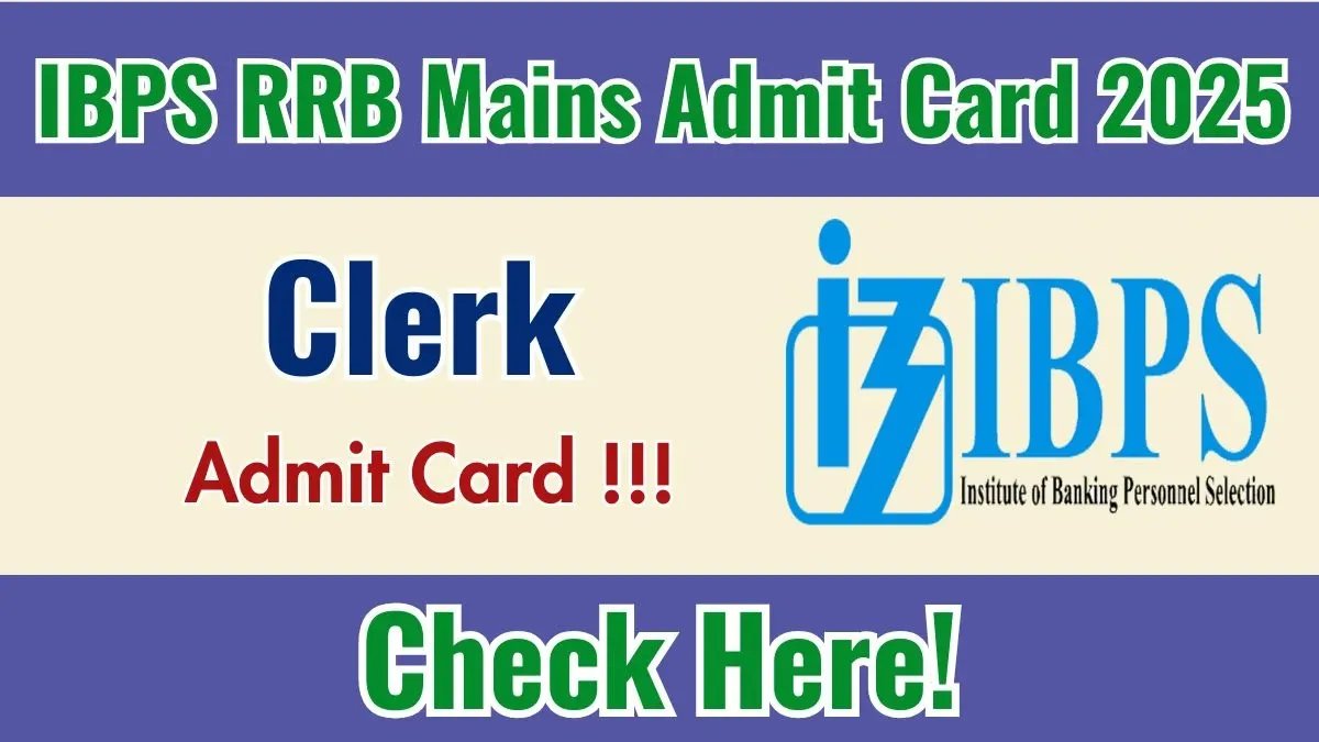 IBPS RRB Clerk Mains Admit Card 2025 - Download Hall Ticket